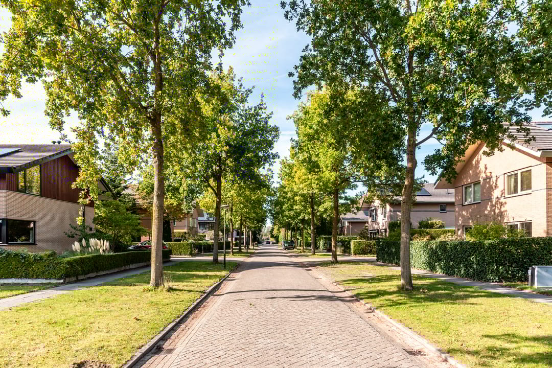 Foto 47 van Septemberstraat 111