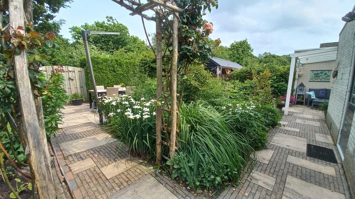 Foto 49 van Zonnehoven 1