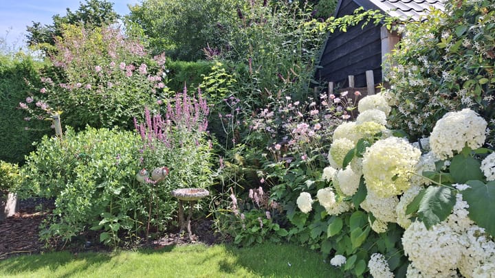 Foto 51 van Zonnehoven 1