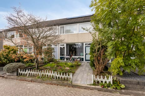 undefined main image