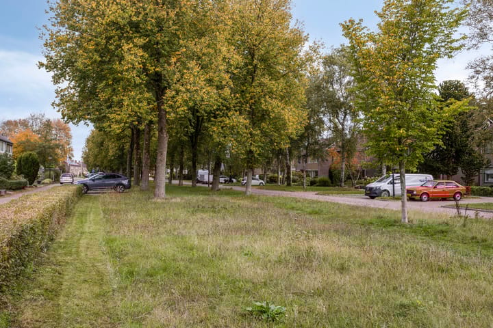 Foto 6 van Burgemeester Drijberweg 102