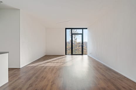 The Rhino main image