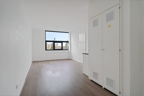 Fascinatio Boulevard thumbnail