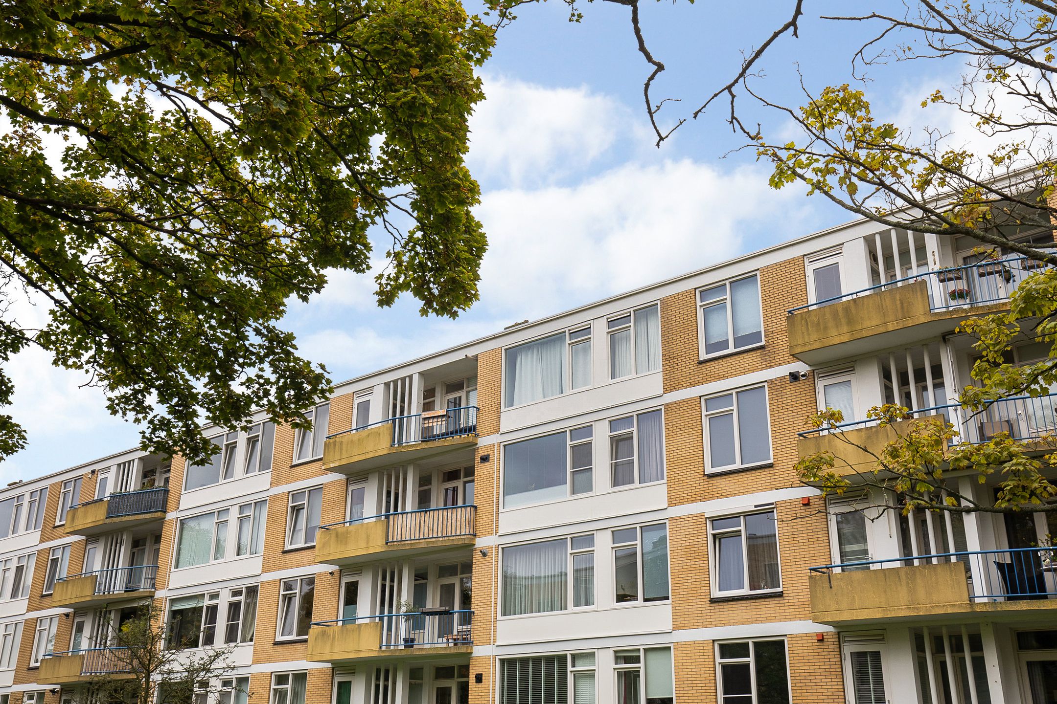 Foto 6 van Van Ostadelaan 72