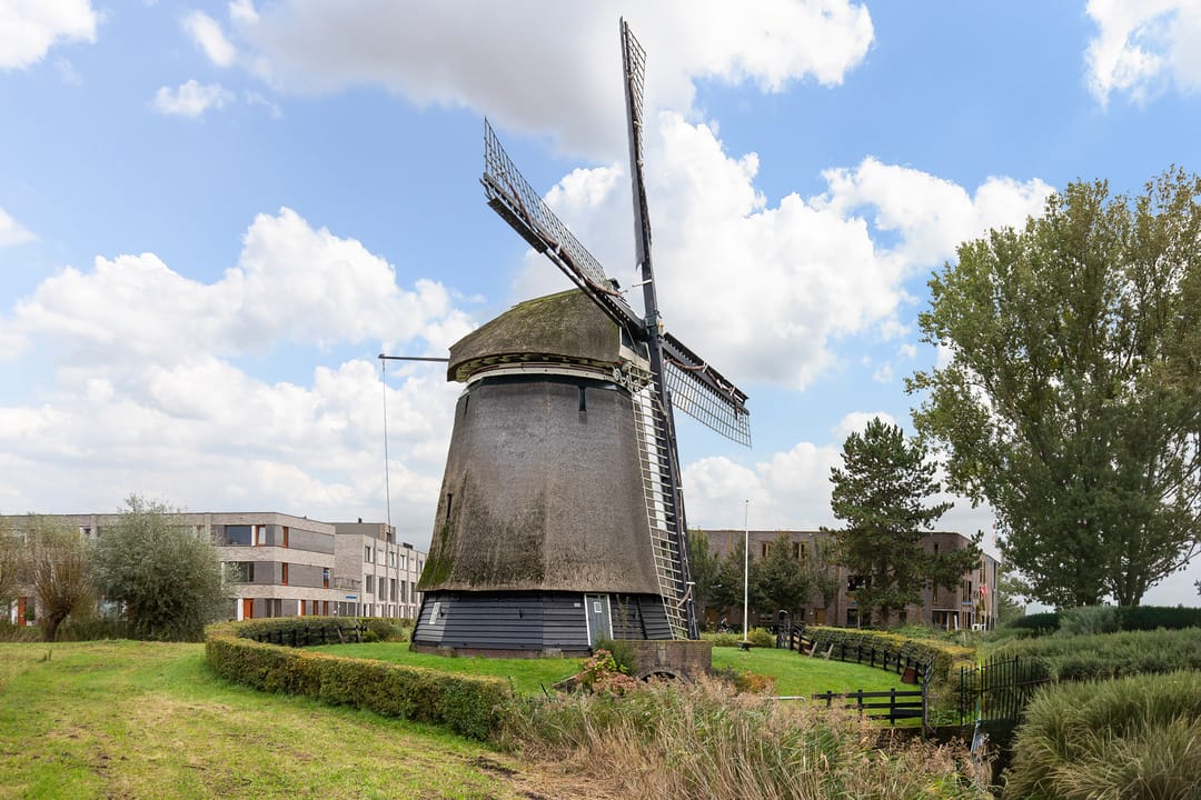 Foto 32 van Van Ostadelaan 72