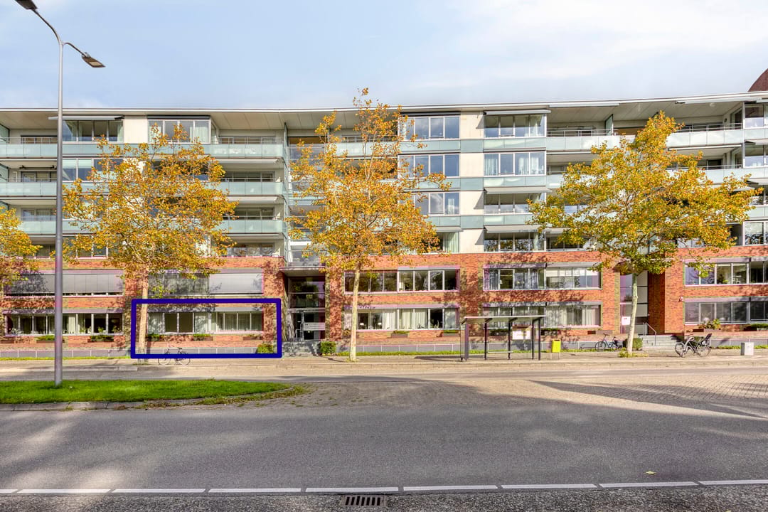 Foto 2 van Laan der Continenten 30