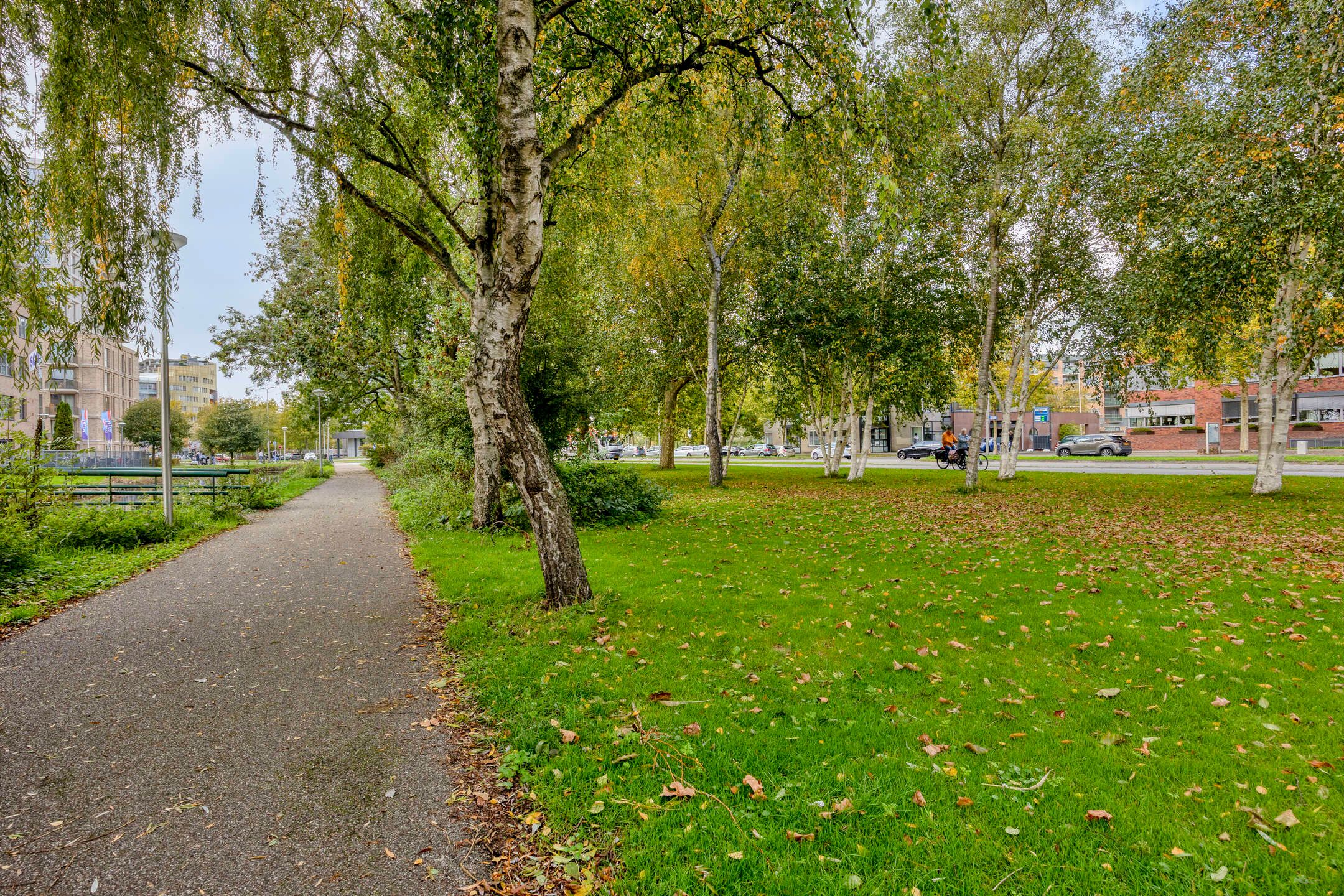 Foto 27 van Laan der Continenten 30