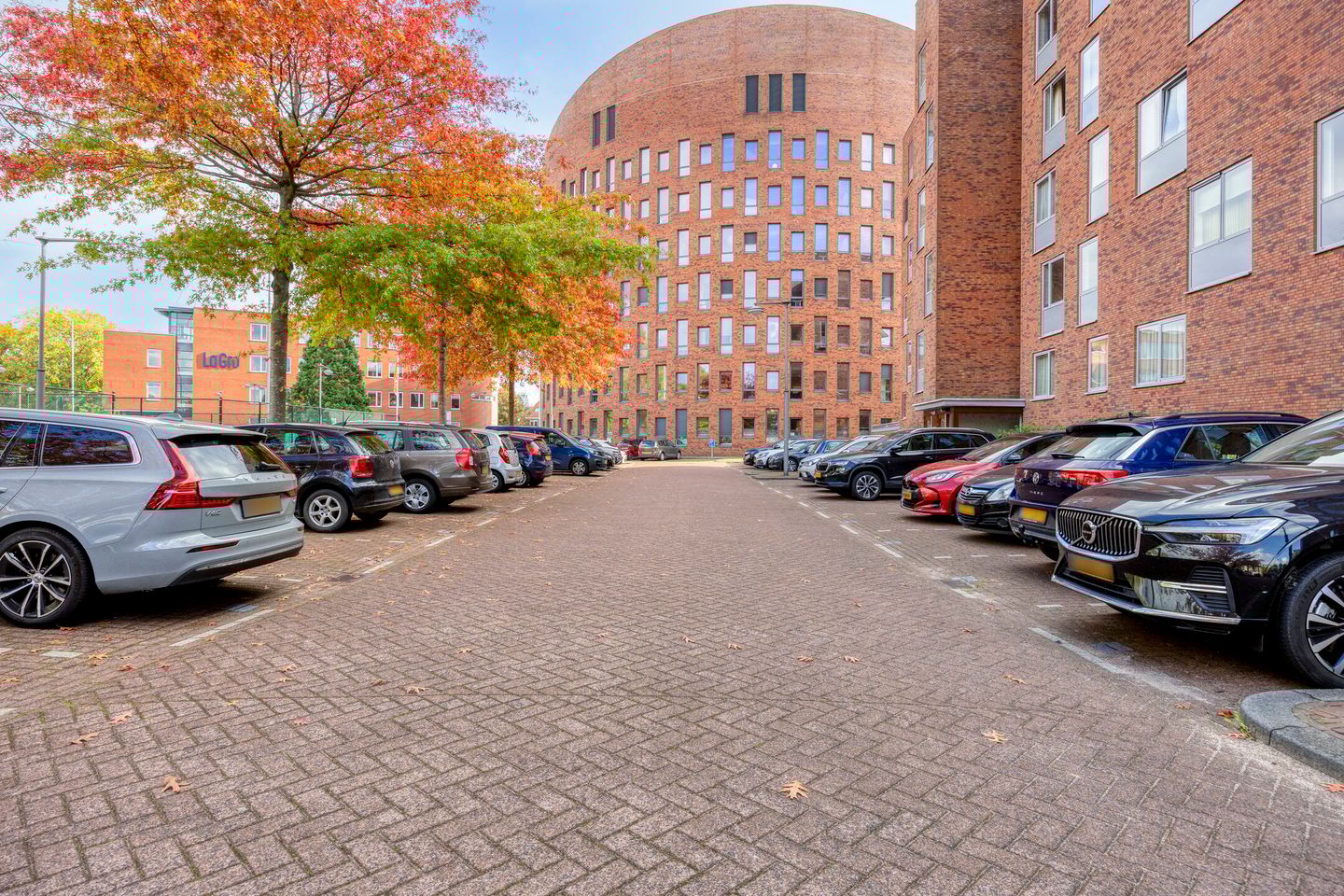 Foto 29 van Laan der Continenten 30