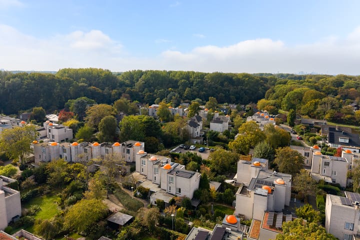 Foto 2 van Lemsterland 18