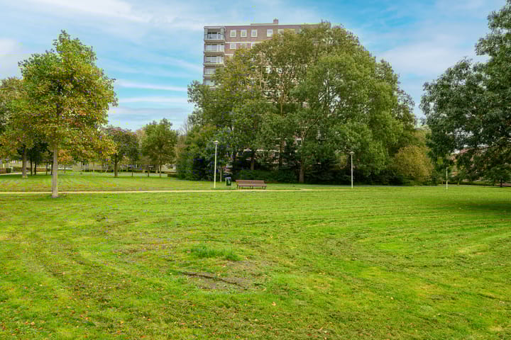 Foto 23 van Dignaland 12