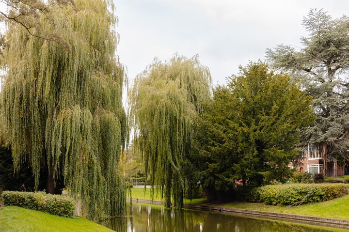 Photo 36 of Bors van Waverenstraat 66