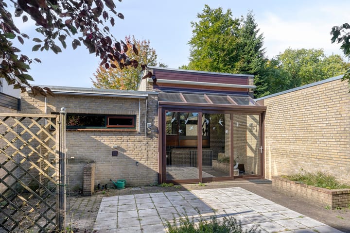 Foto 45 van Randwijksingel 38