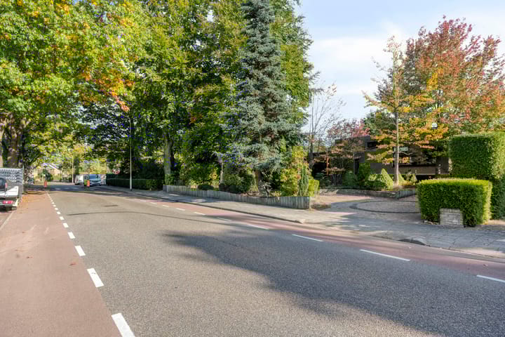 Foto 52 van Randwijksingel 38