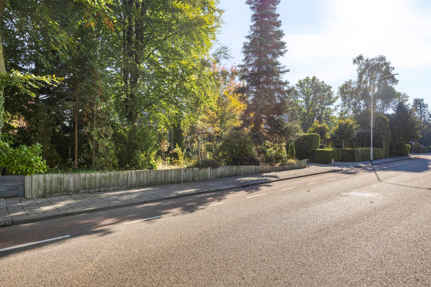 Foto 50 van Randwijksingel 38