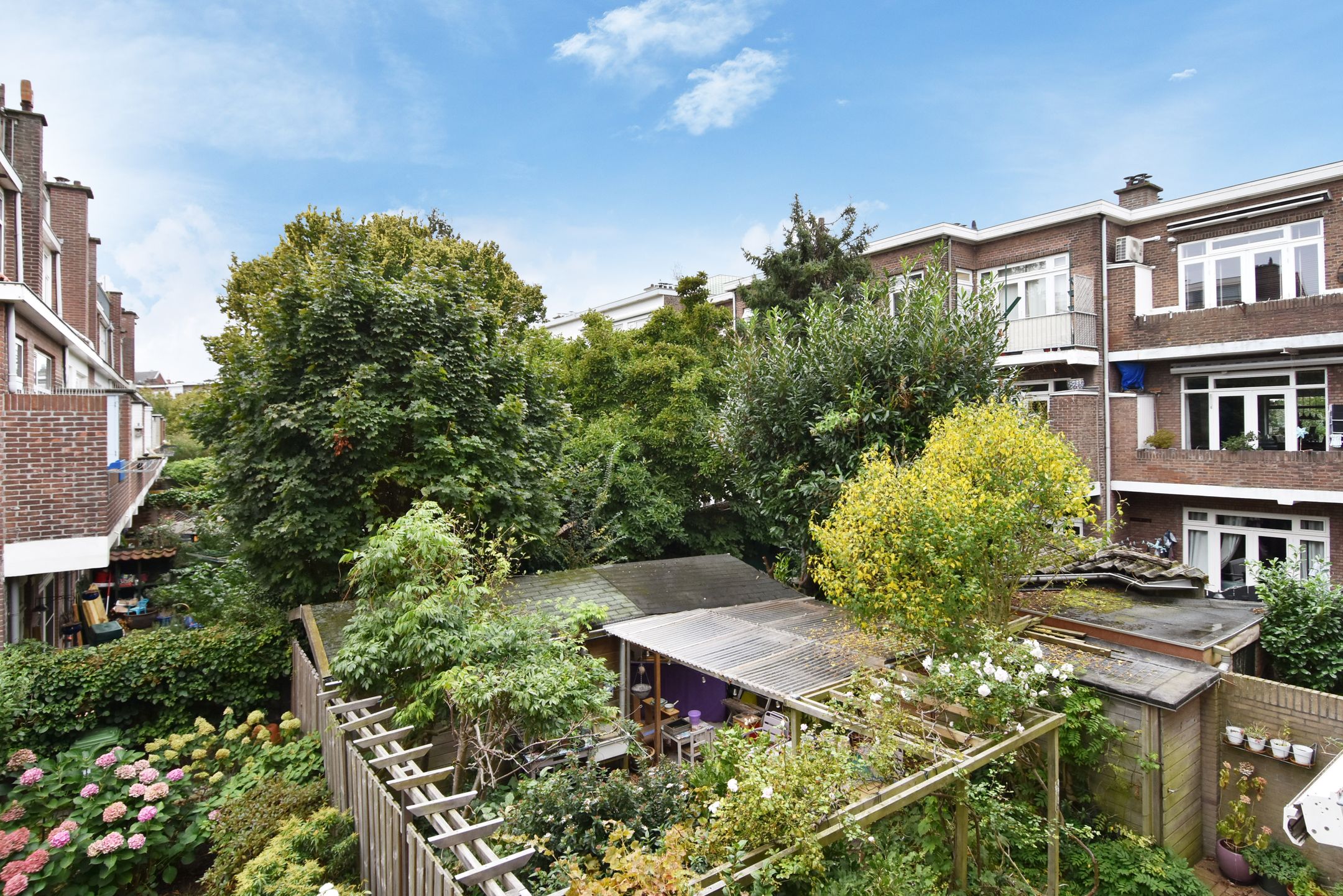 Foto 15 van Kornoeljestraat 10