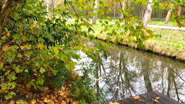 Foto 5 van Buitenhuizerweg 2