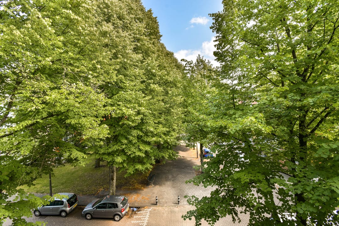 Photo 16 of Henkenshage 21