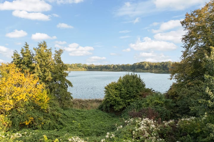 Foto 68 van Laurierkerspad 4