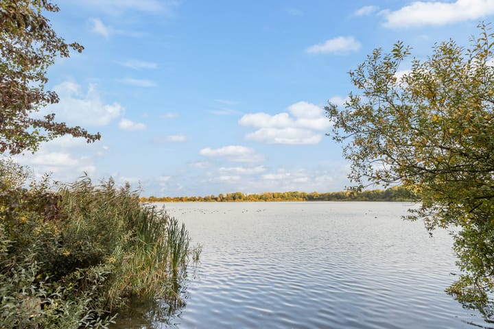 Foto 69 van Laurierkerspad 4