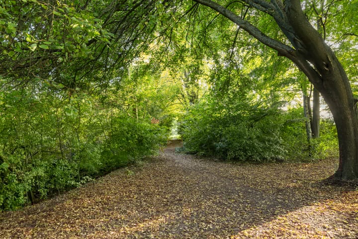 Foto 70 van Laurierkerspad 4