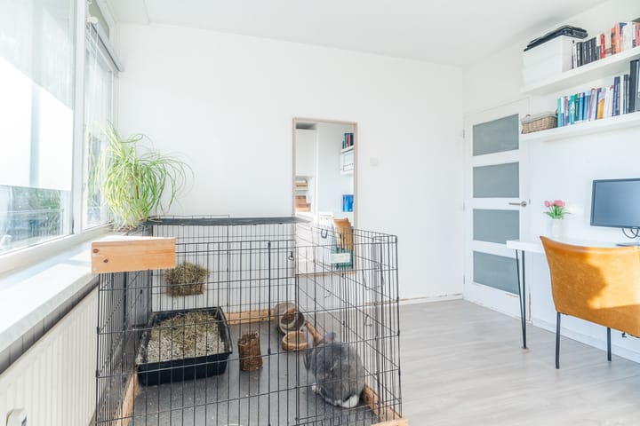 Photo 17 of Hertogenlaan 66