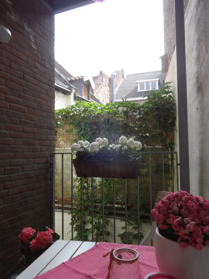 Photo 16 of Wycker Smedenstraat 9-B