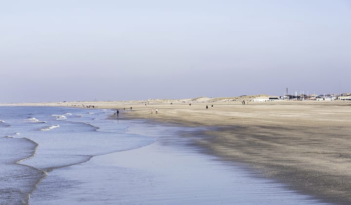 Foto 12 van Asp (Bouwnr. 10)