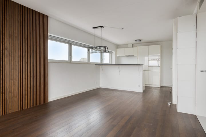 Photo 3 of Pieter Vreedeplein 72