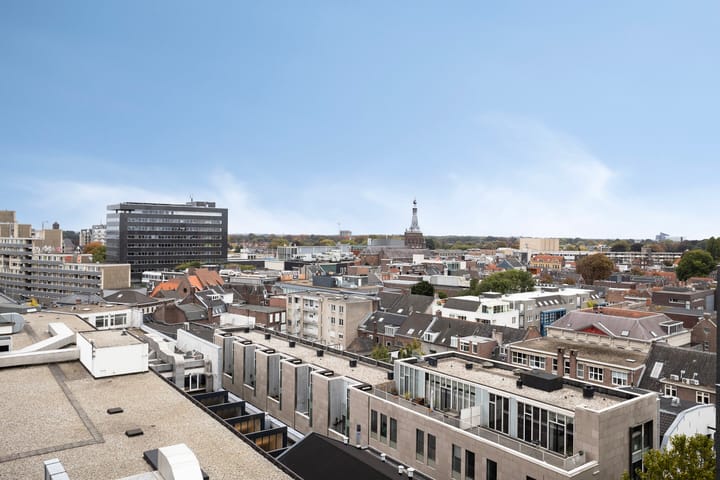 Foto 10 van Pieter Vreedeplein 72