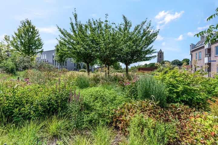 Foto 30 van Damstraat 46