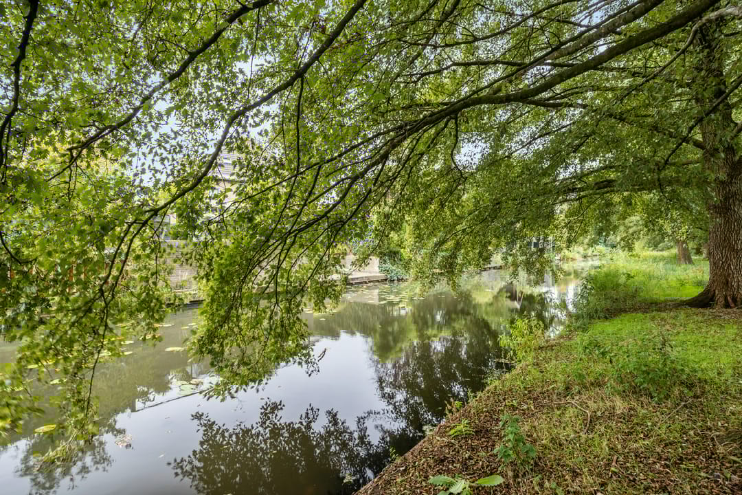 Foto 56 van Mingersbergstraat 12