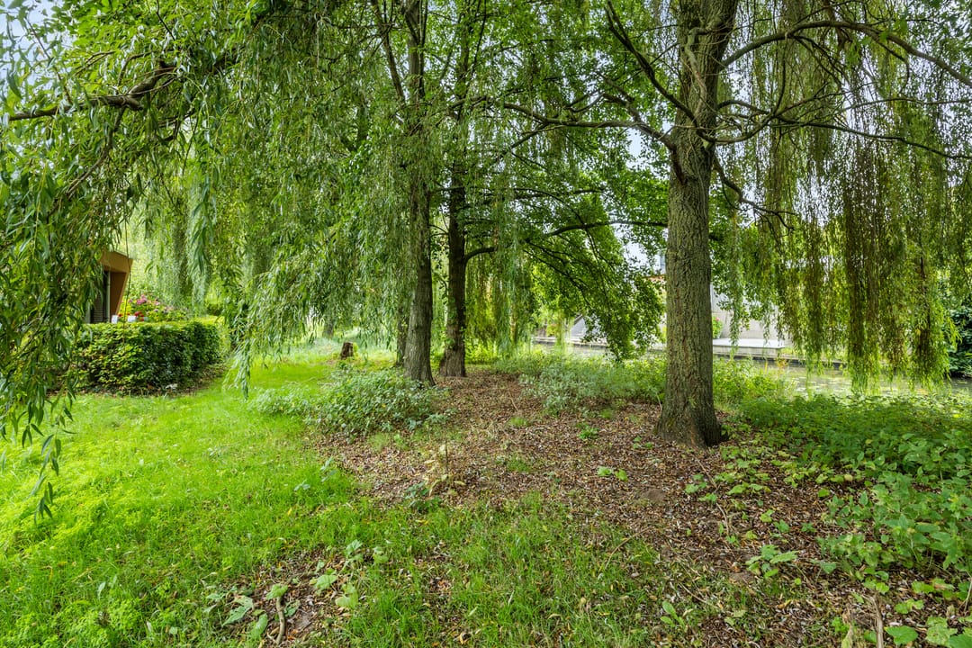 Foto 58 van Mingersbergstraat 12