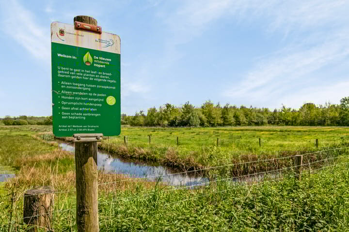 Photo 54 of Hoefblad 44