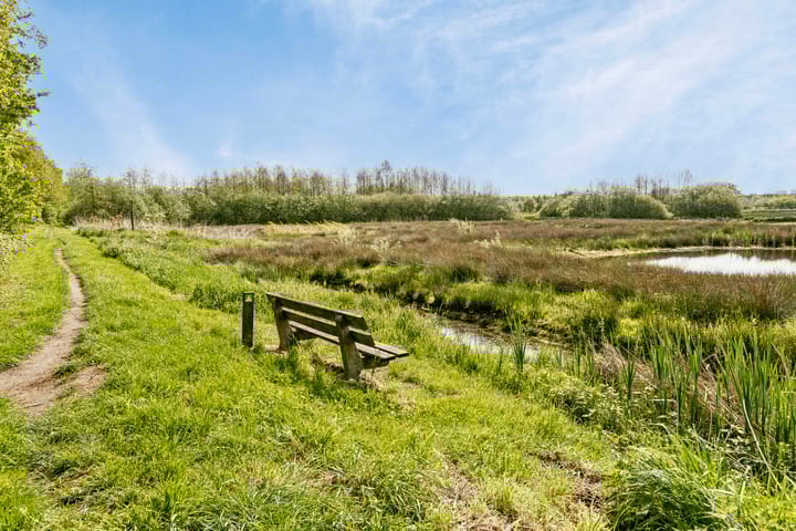 Photo 55 of Hoefblad 44