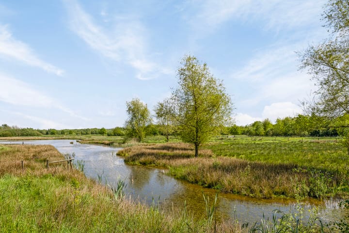 Photo 56 of Hoefblad 44