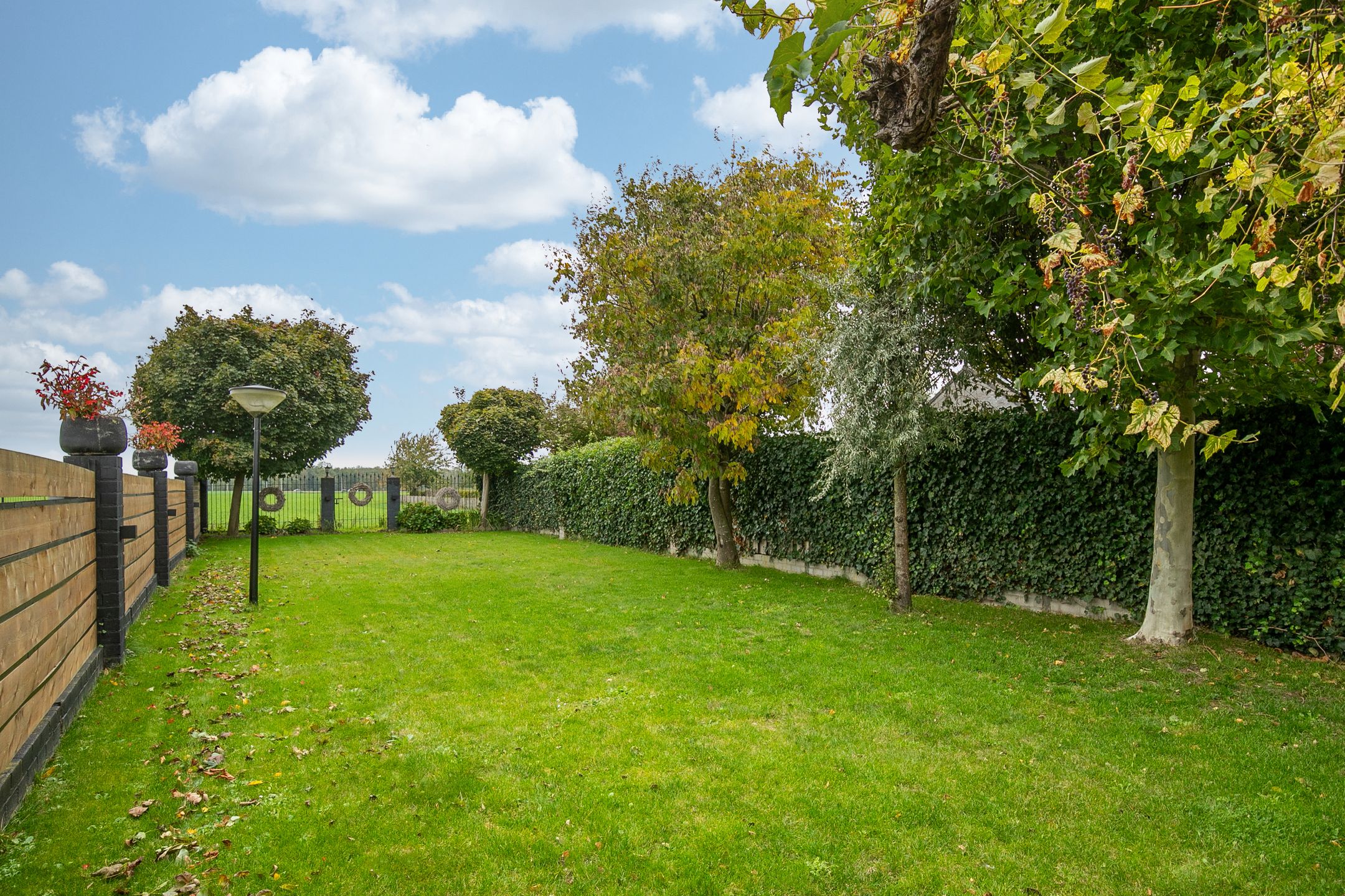 Foto 36 van Eindstraat 87