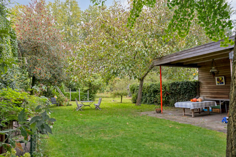 't Dorp 144 tertiary image