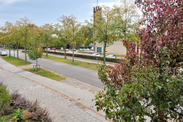 Foto 41 van 't Dorp 144