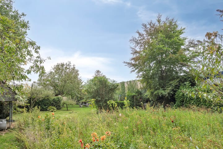 Foto 50 van 't Dorp 144