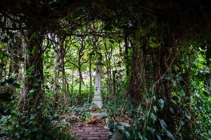 Foto 80 van Westeinde 78