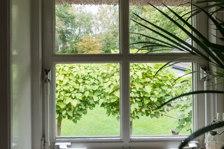 Foto 98 van Westeinde 78