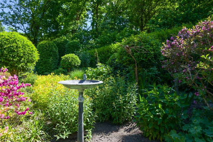 Photo 50 of Zwaluwenburg 8