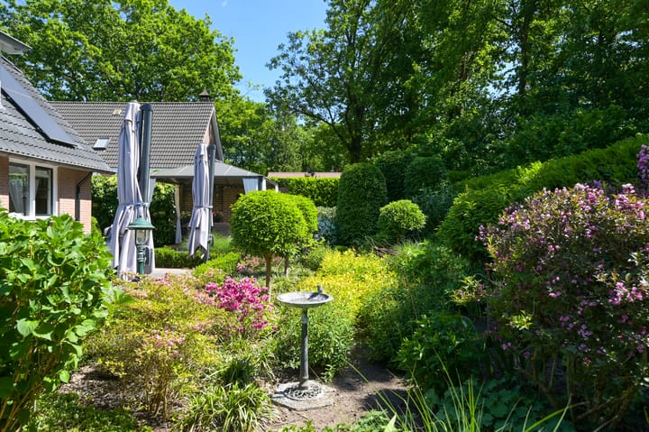 Photo 52 of Zwaluwenburg 8