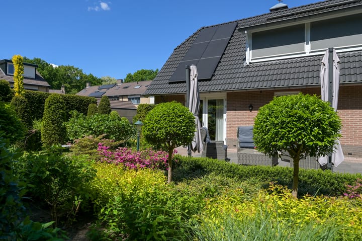 Photo 55 of Zwaluwenburg 8