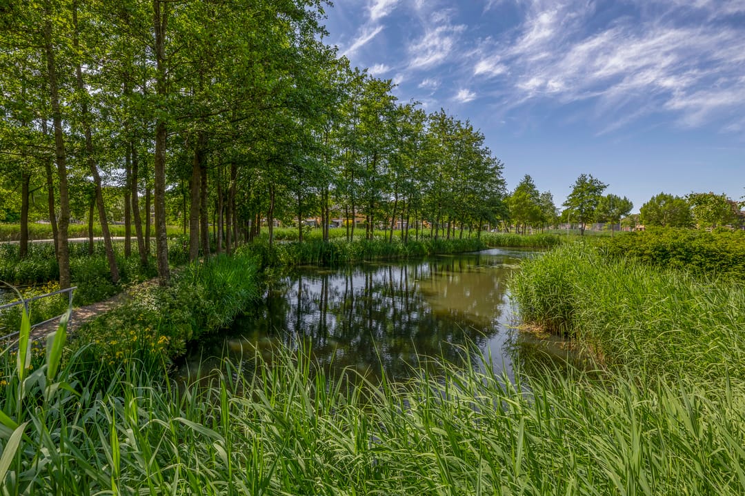 Foto 47 van Duizendschoon 91