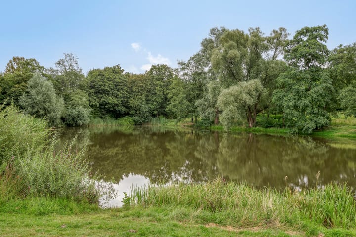 Photo 24 of Mozartstraat 38