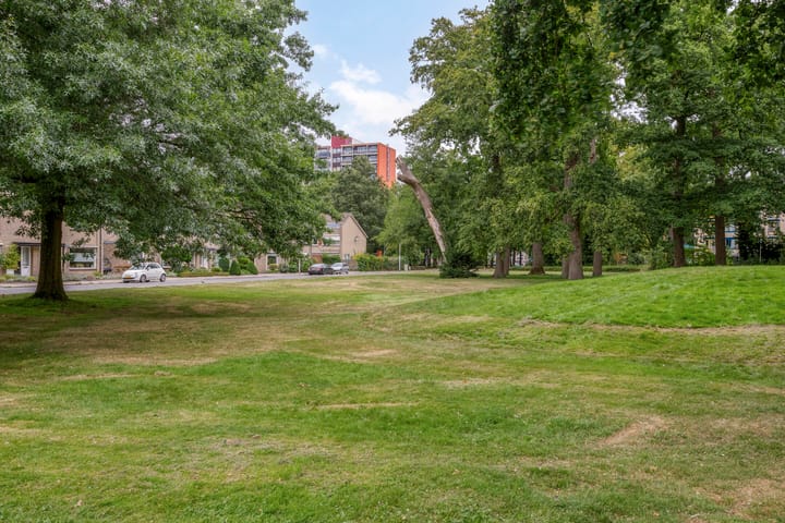 Photo 25 of Mozartstraat 38