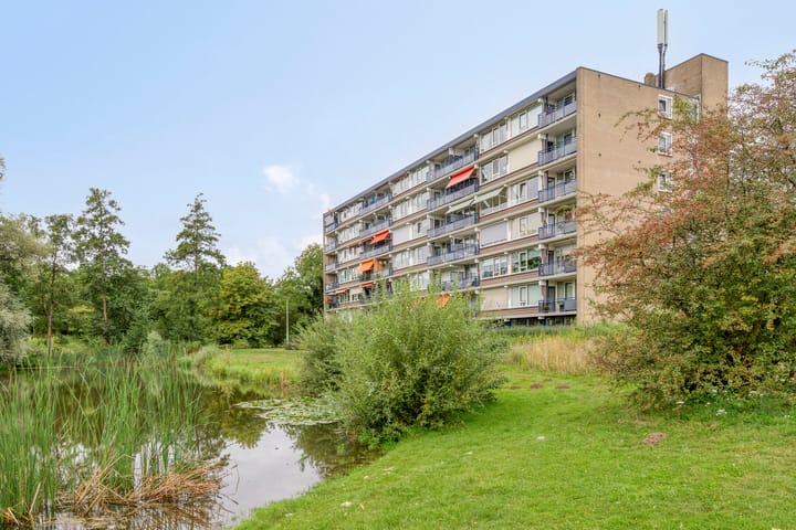 Photo 26 of Mozartstraat 38