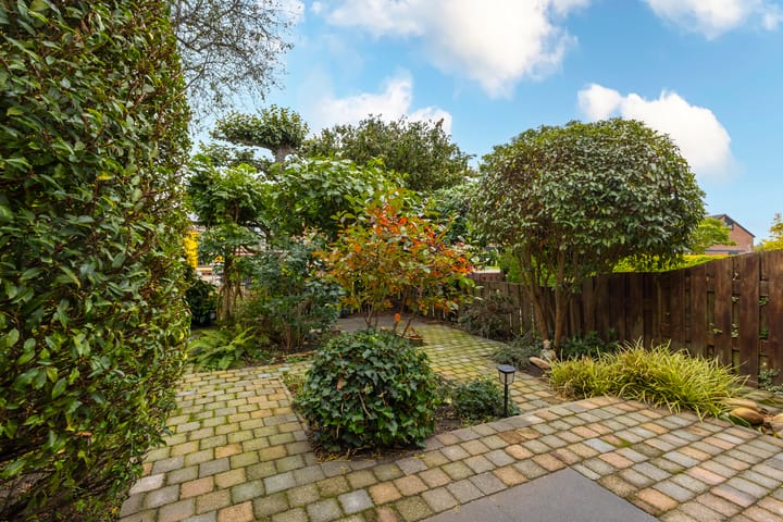 Foto 17 van Trasmolen 4