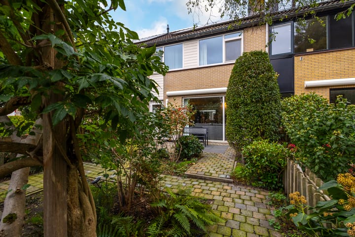 Foto 19 van Trasmolen 4